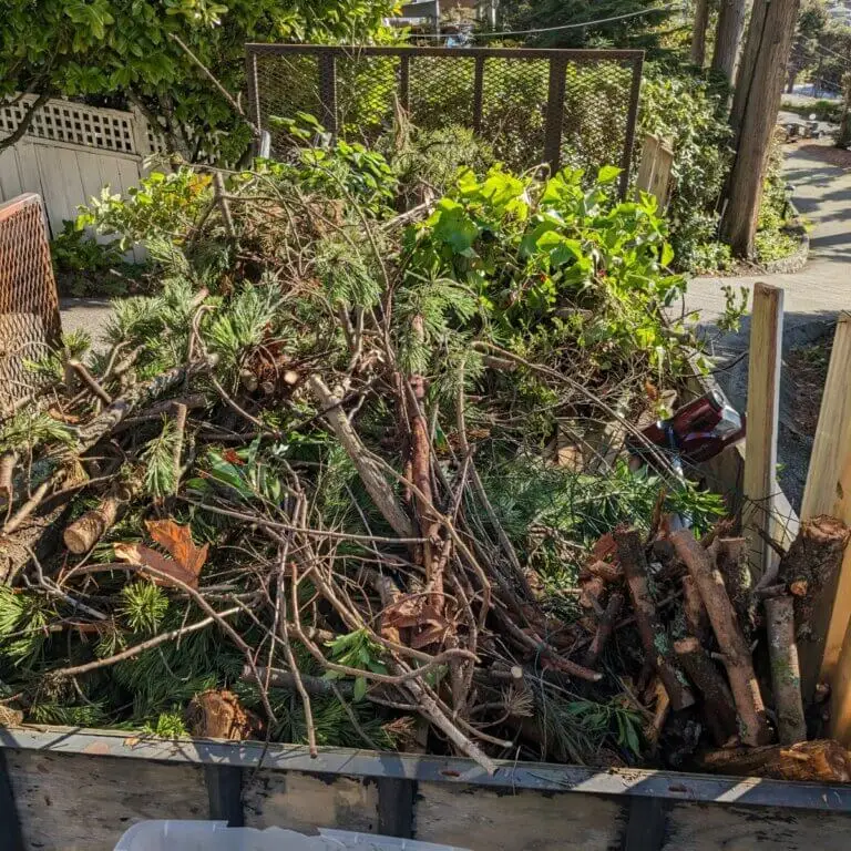 Yard Waste Removal